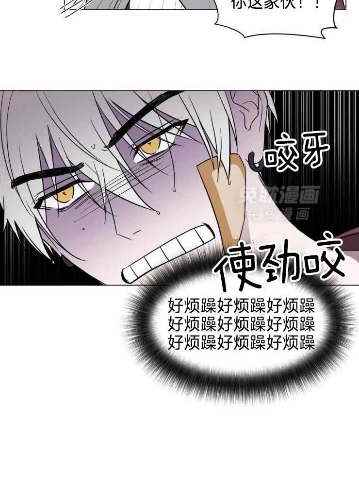 将错就错第43话图