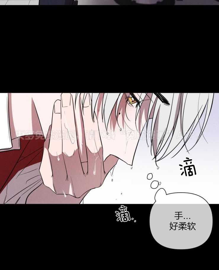 将错就错第49话图