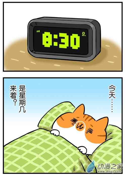 姜哥今天不加班17话图