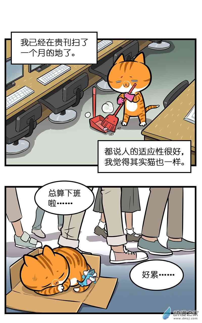 姜哥今天不加班30话图