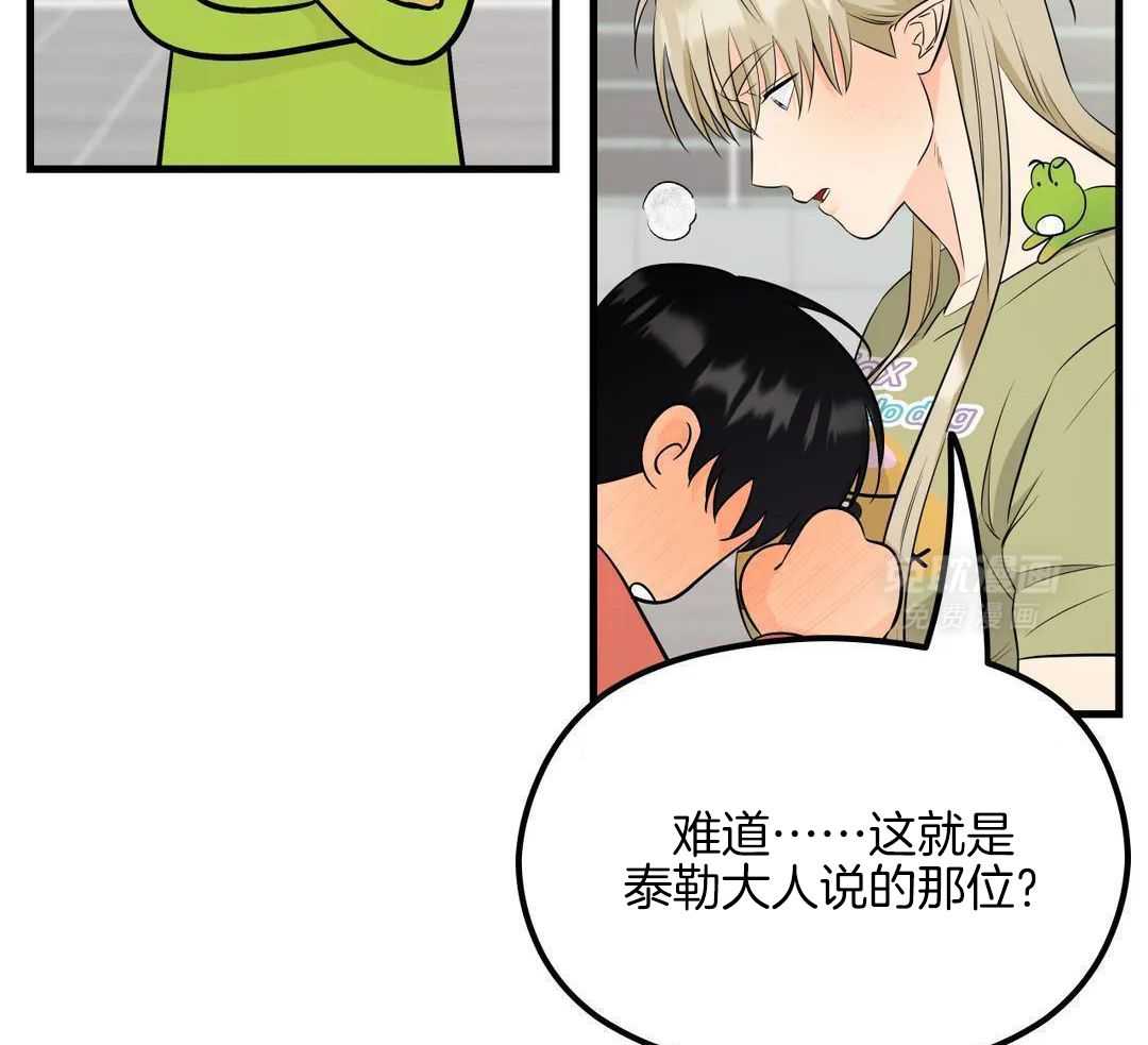 精灵伴侣第10话图