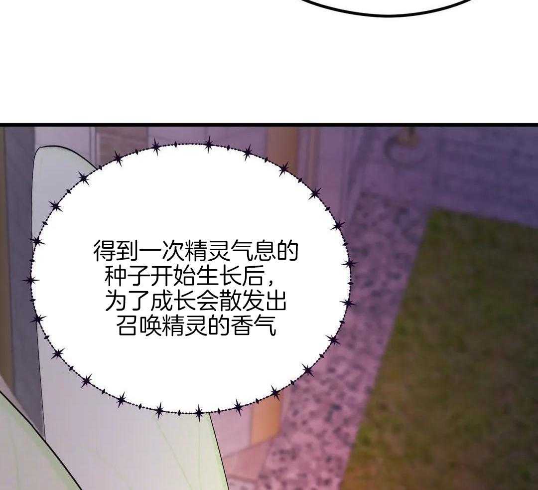 精灵伴侣第10话图