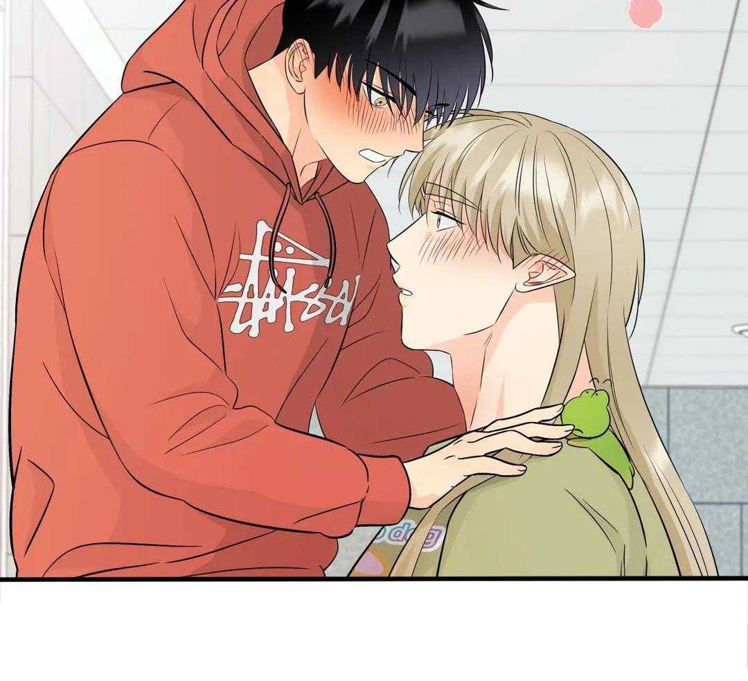 精灵伴侣第10话图