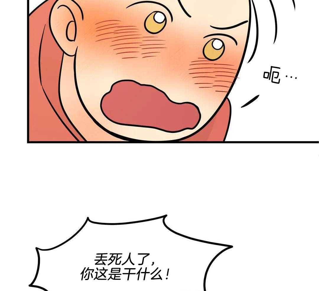 精灵伴侣第10话图