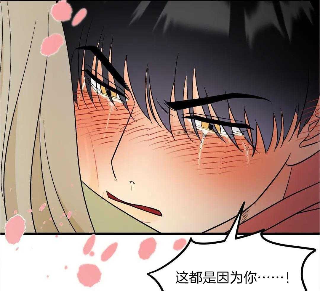 精灵伴侣第10话图