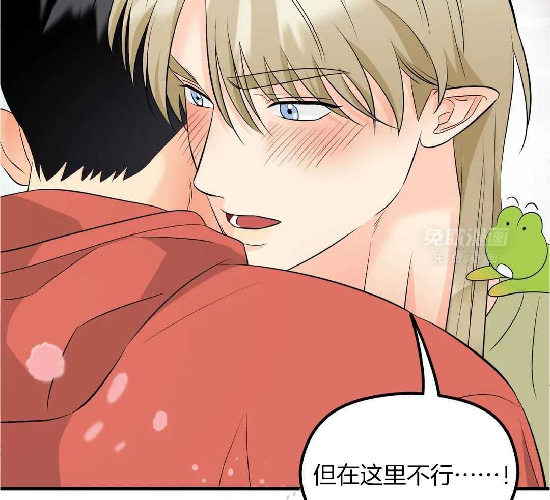 精灵伴侣第10话图