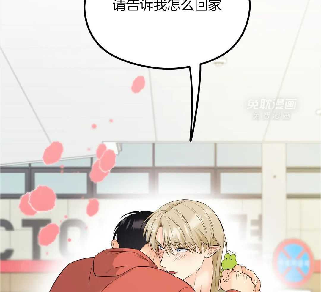 精灵伴侣第10话图