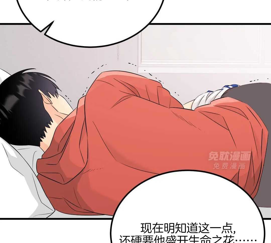 精灵伴侣第11话图