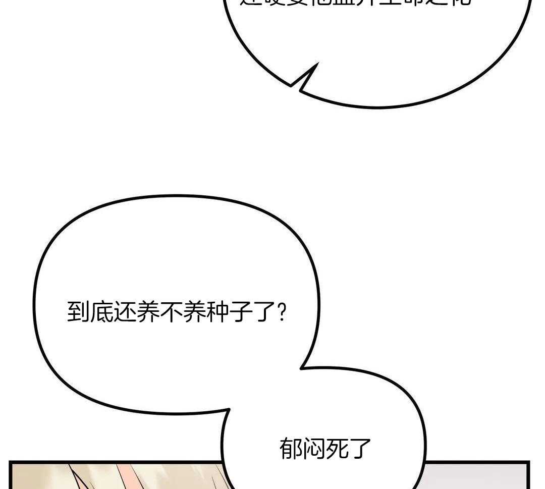 精灵伴侣第11话图