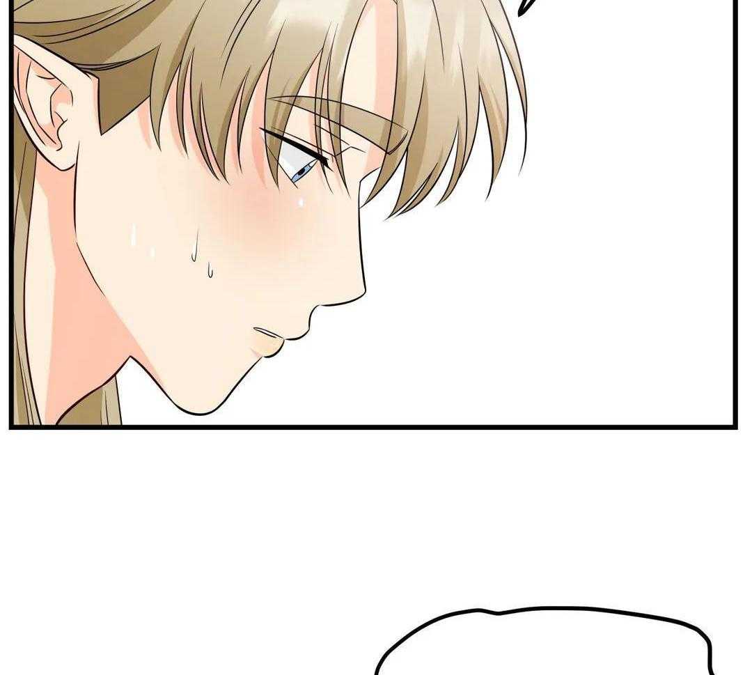 精灵伴侣第11话图