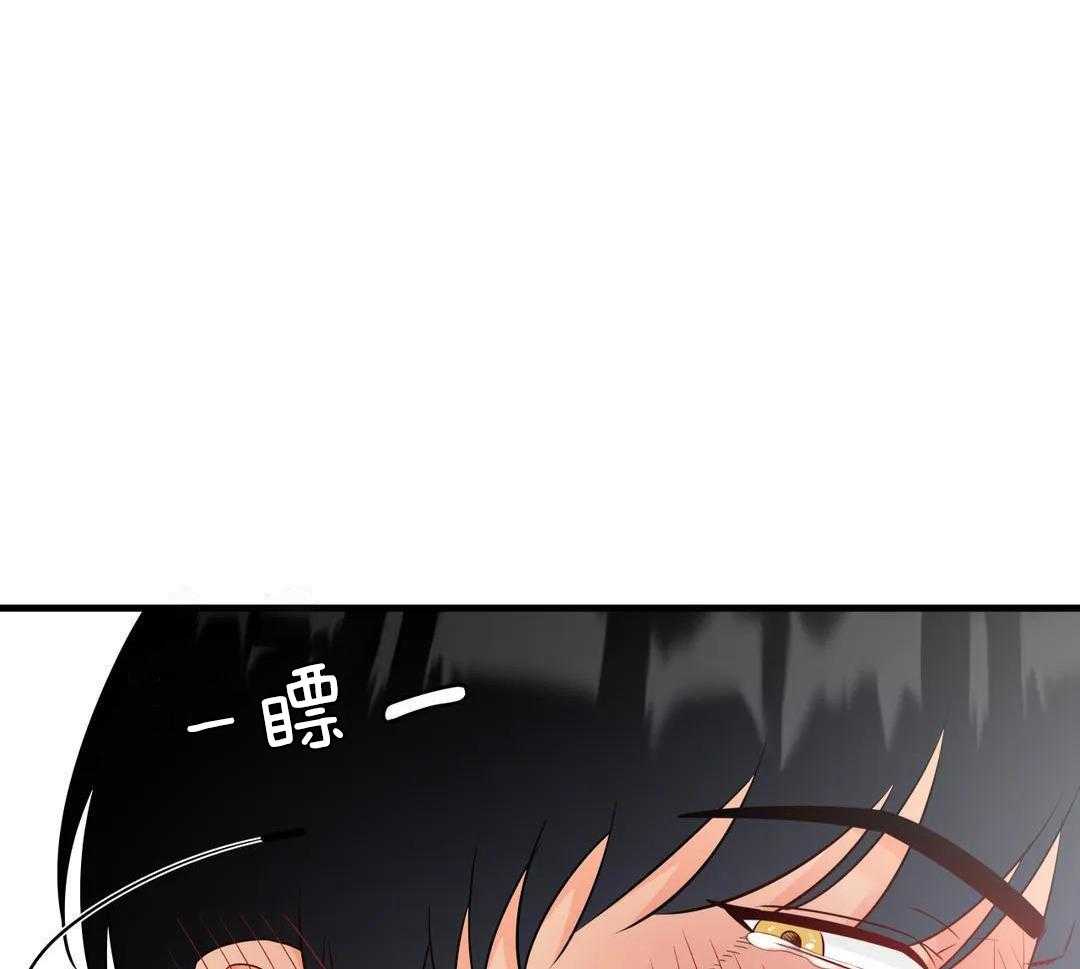 精灵伴侣第11话图