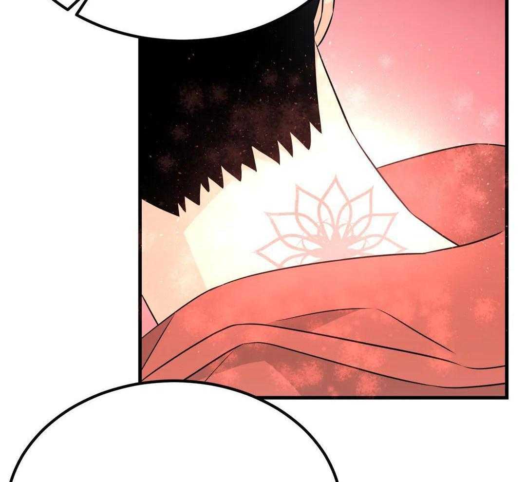 精灵伴侣第12话图