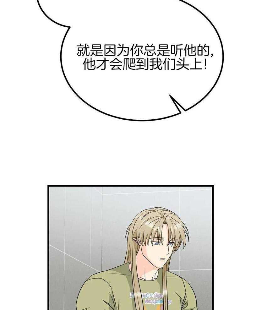 精灵伴侣第13话图