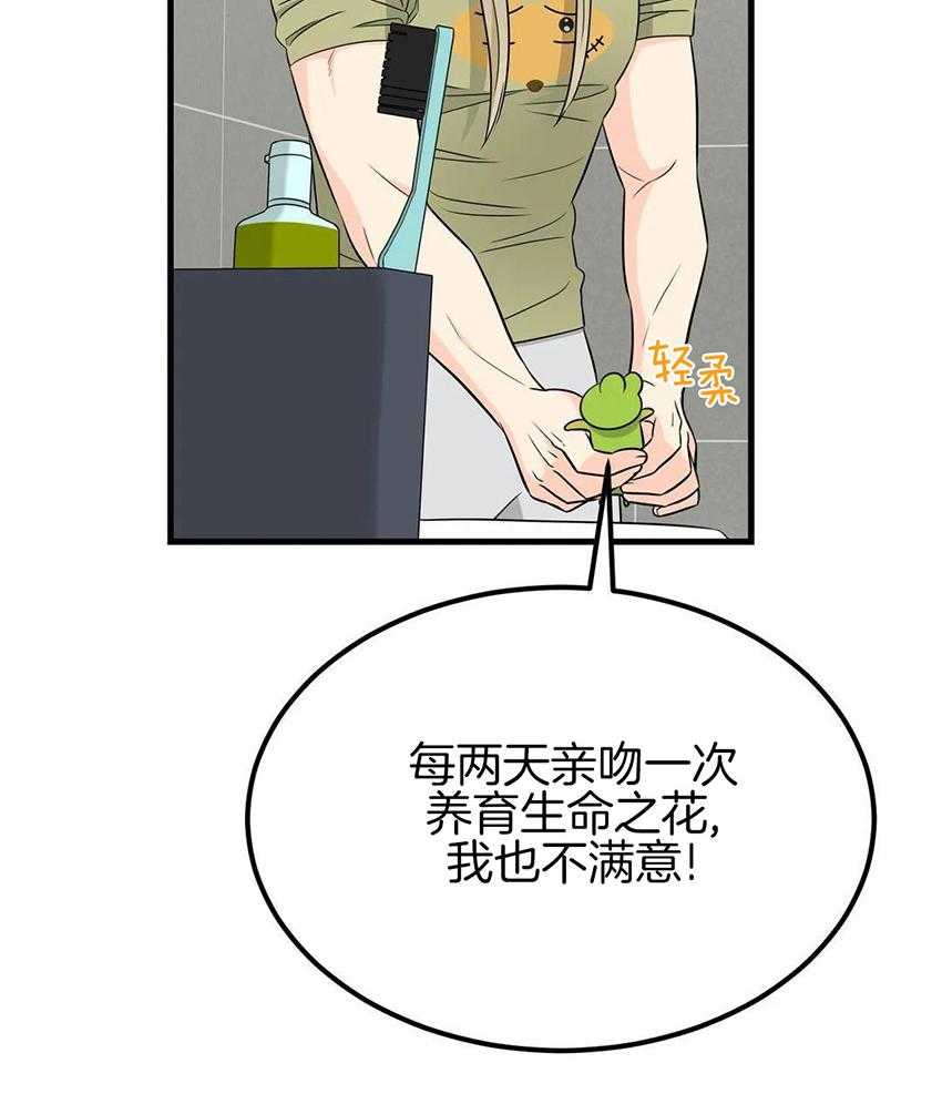 精灵伴侣第13话图