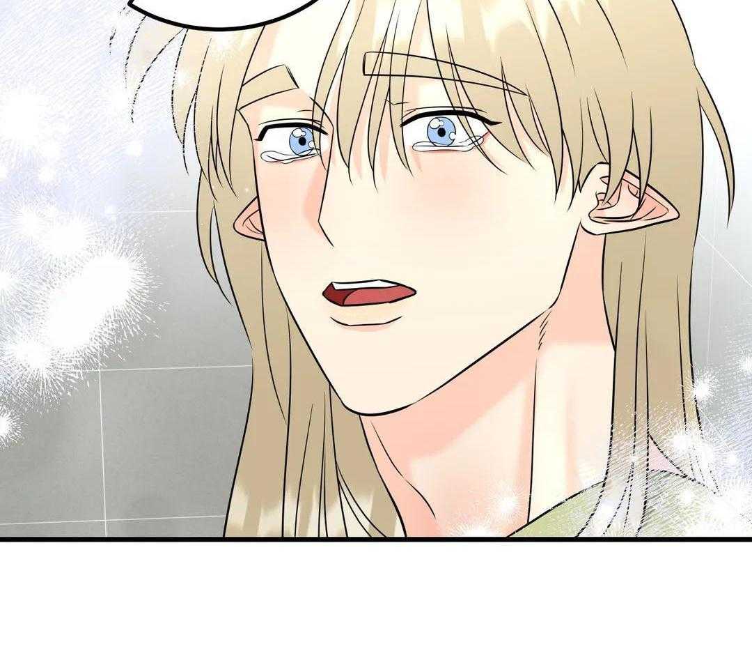 精灵伴侣第14话图