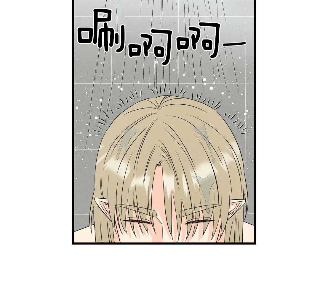 精灵伴侣第14话图