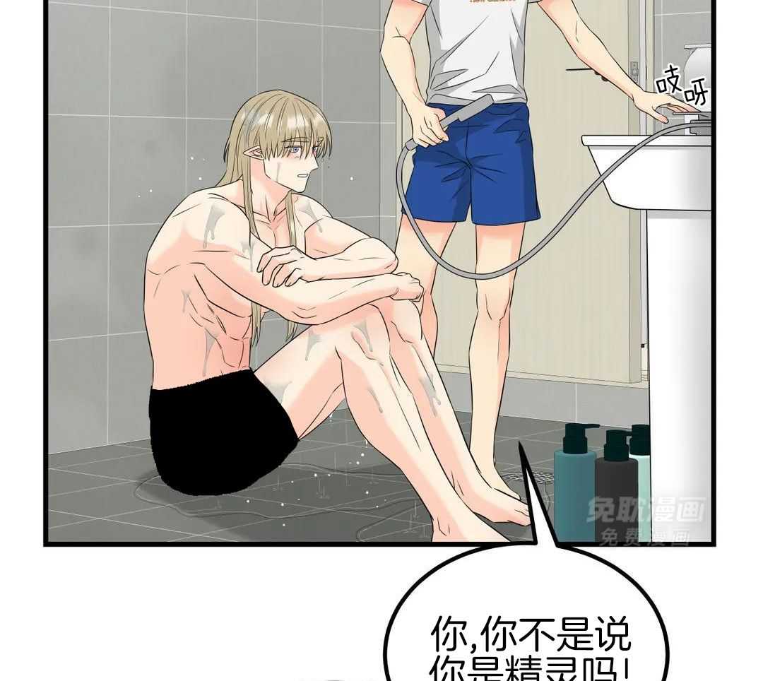 精灵伴侣第14话图