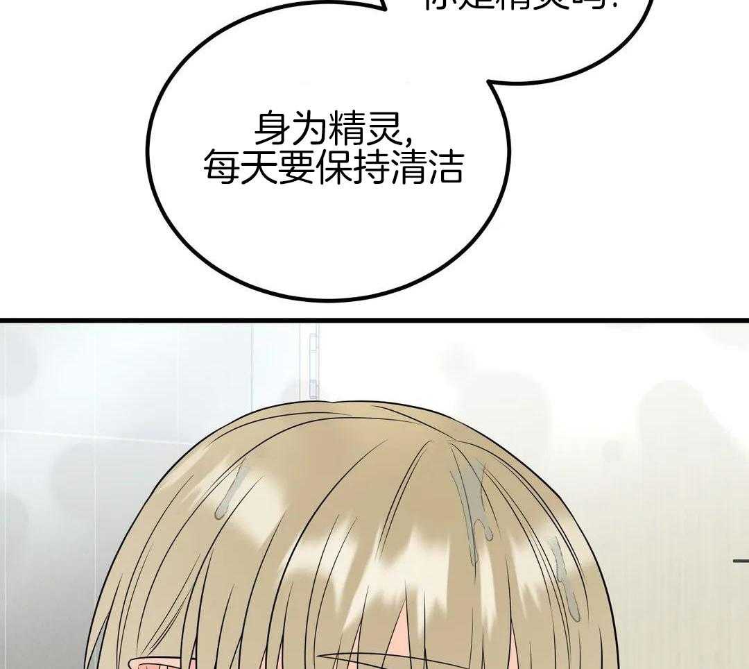 精灵伴侣第14话图