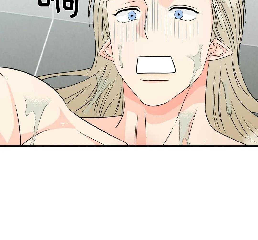 精灵伴侣第15话图