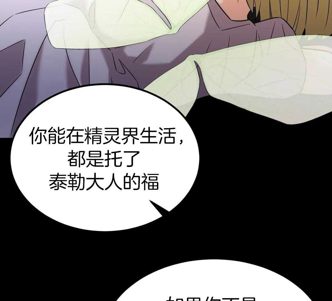 精灵伴侣第19话图