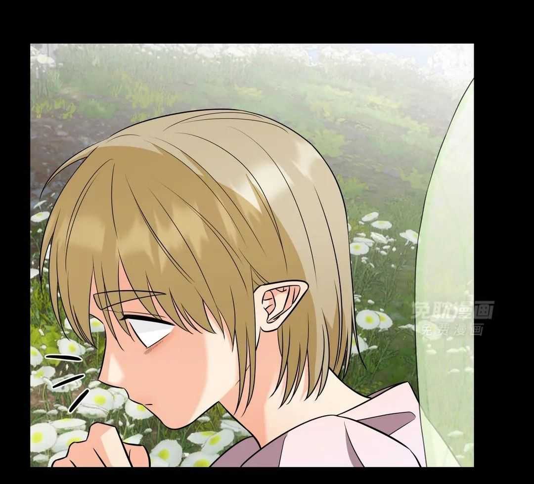 精灵伴侣第19话图