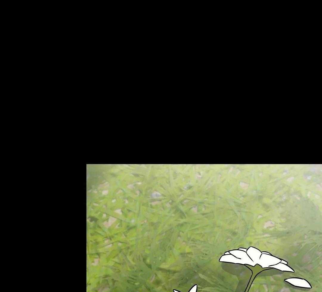 精灵伴侣第19话图