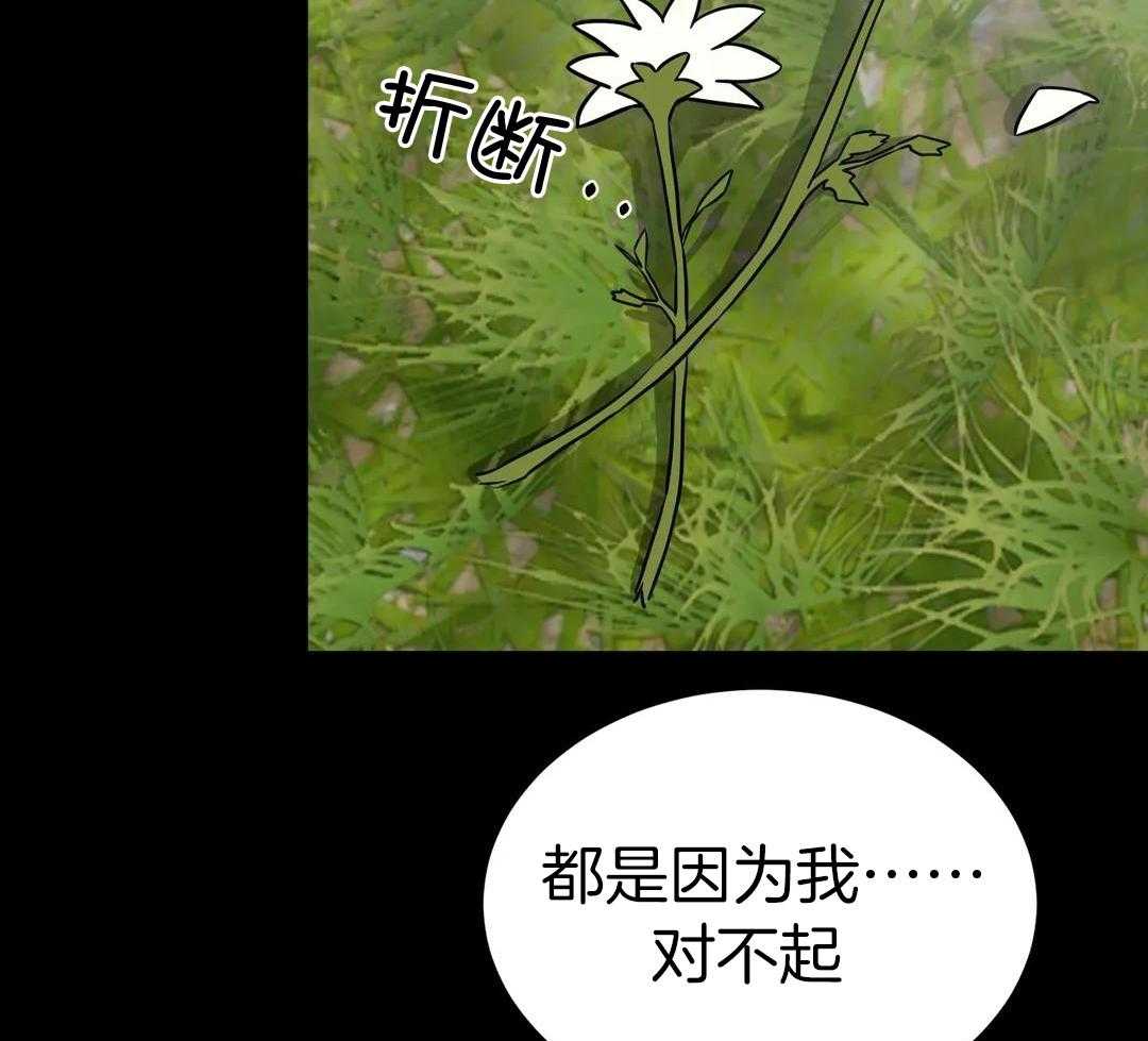 精灵伴侣第19话图