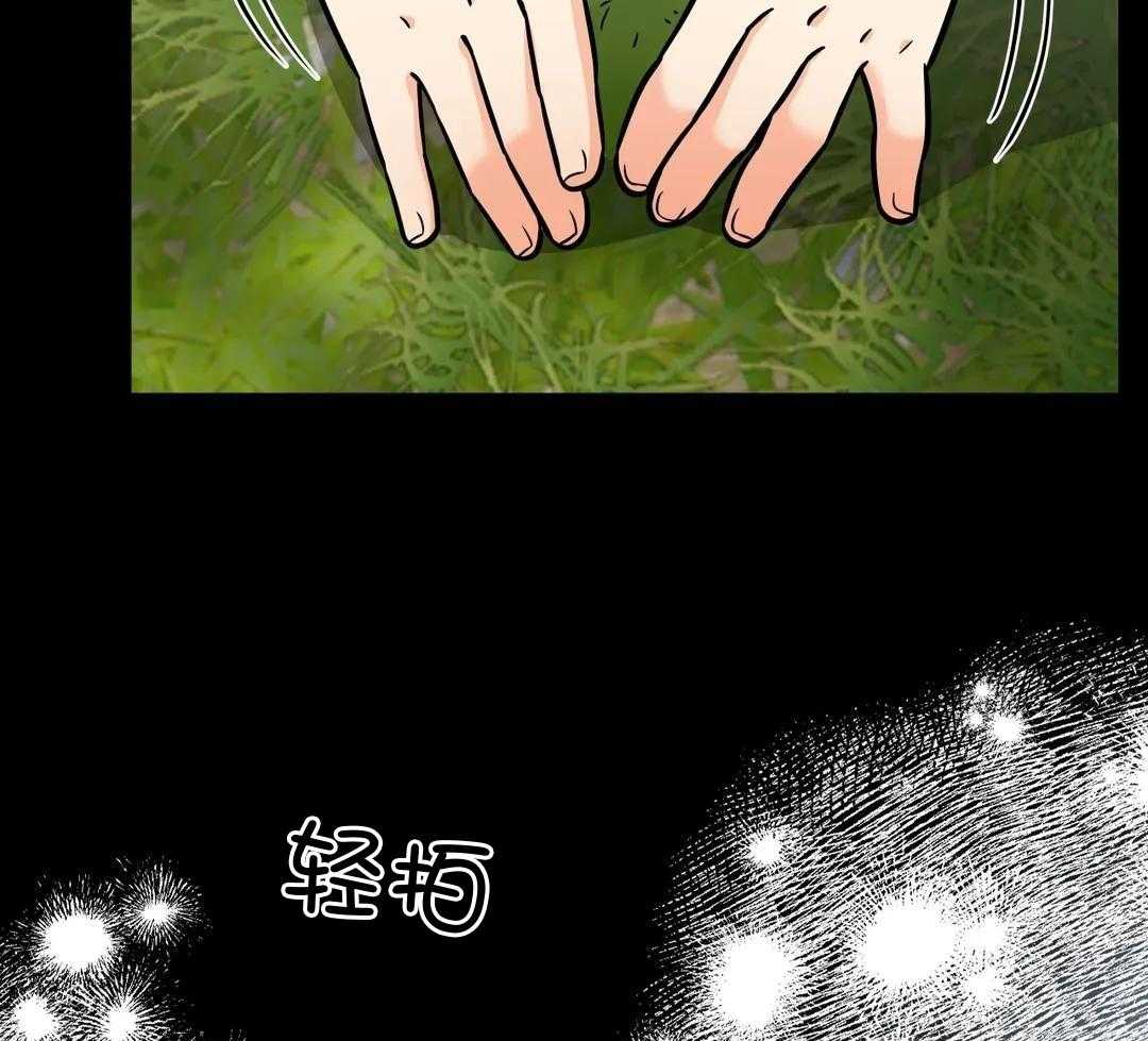 精灵伴侣第19话图