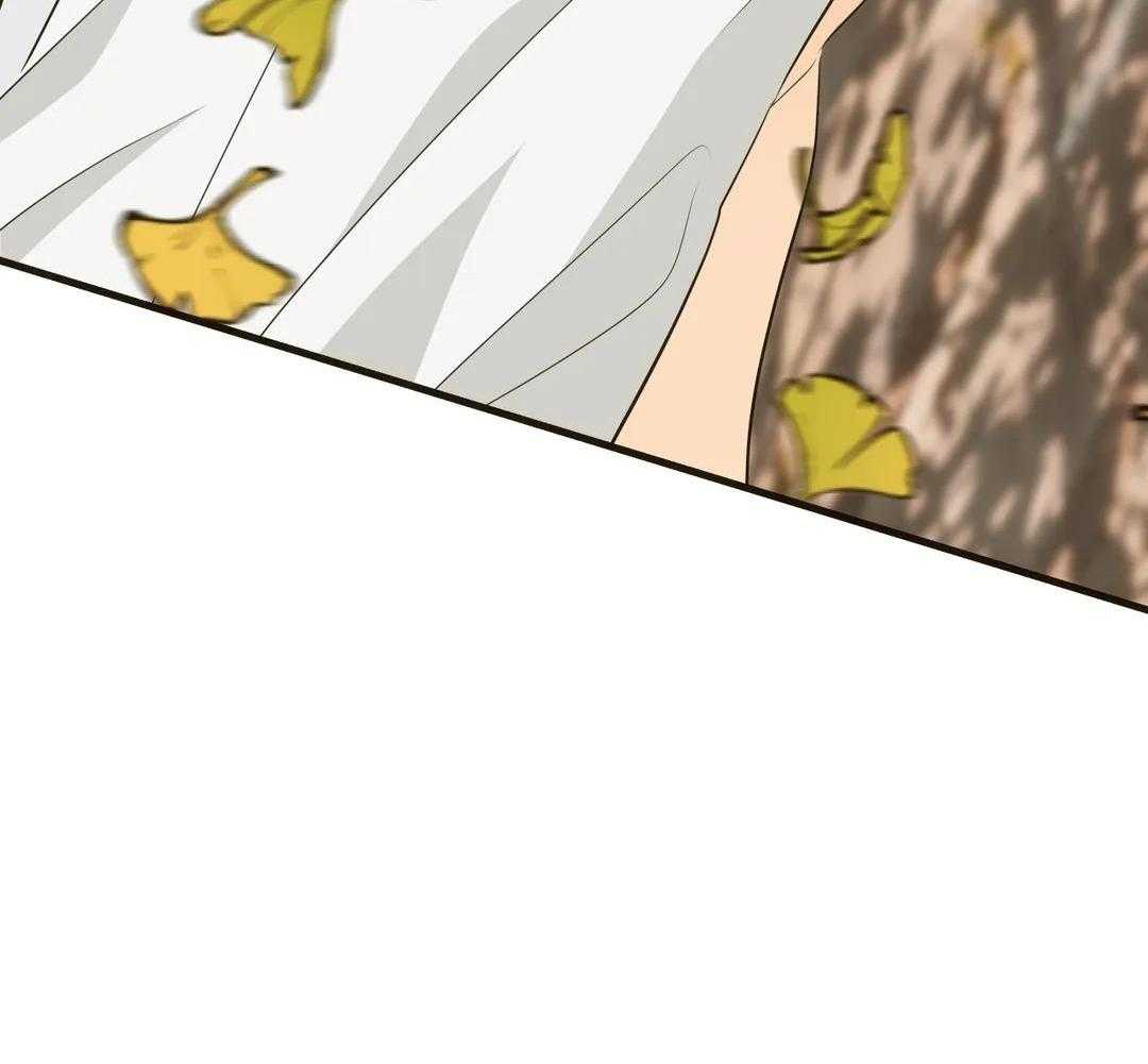 精灵伴侣第20话图