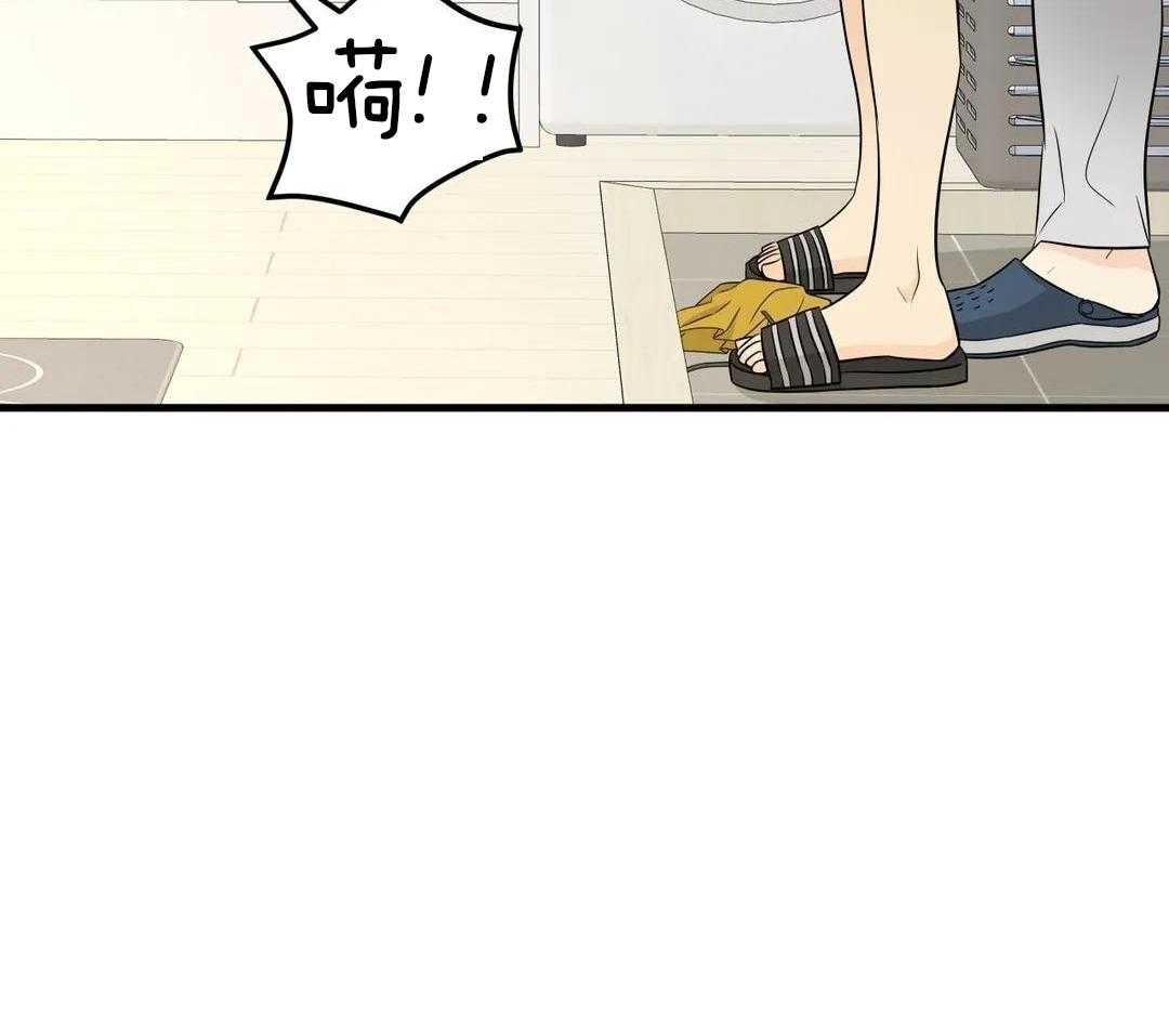 精灵伴侣第20话图