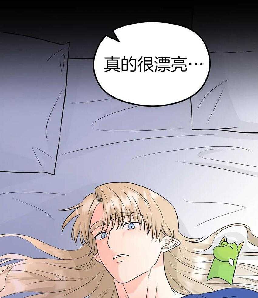 精灵伴侣第4话图