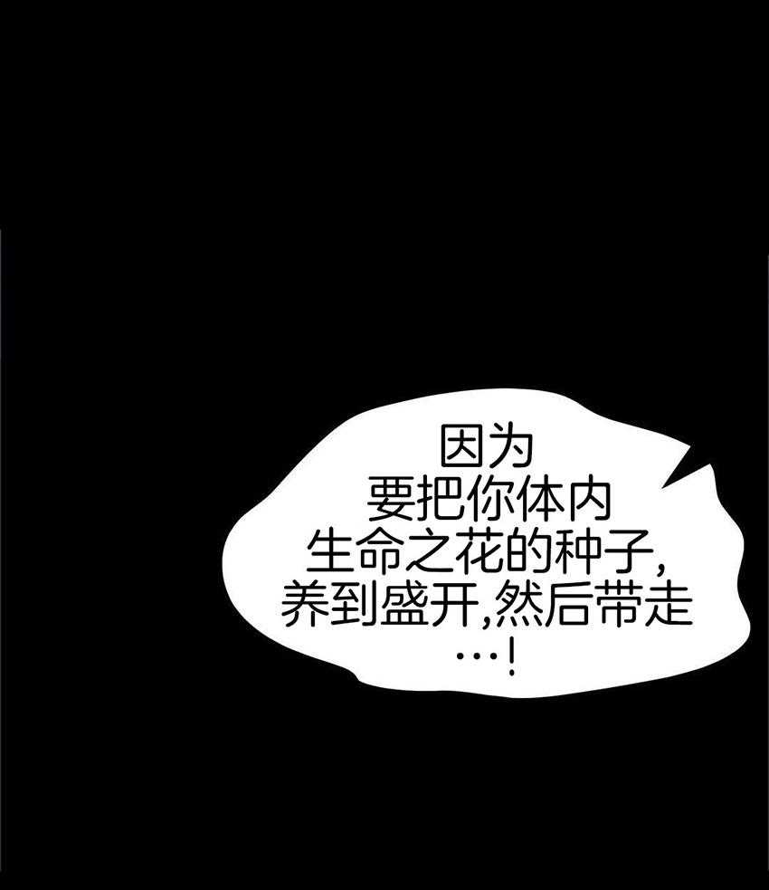 精灵伴侣第4话图