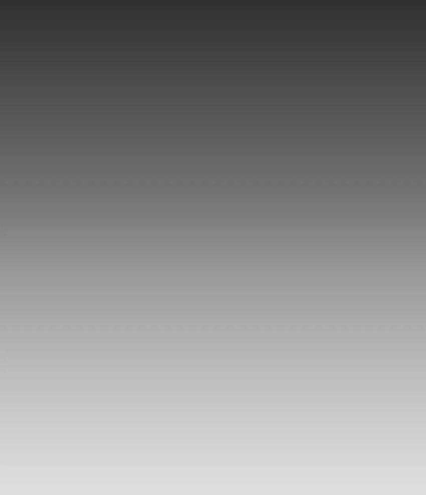 精灵伴侣第4话图