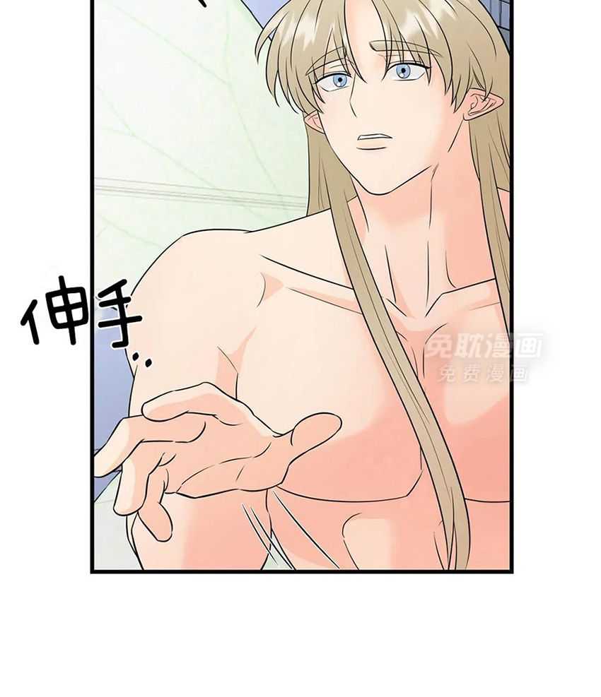 精灵伴侣第4话图