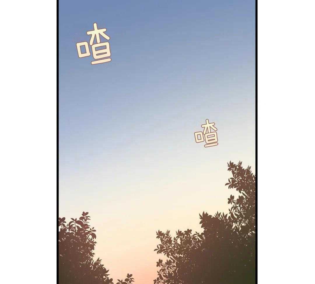 精灵伴侣第5话图