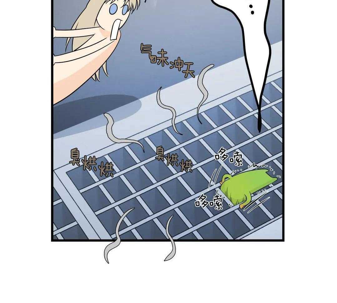 精灵伴侣第5话图