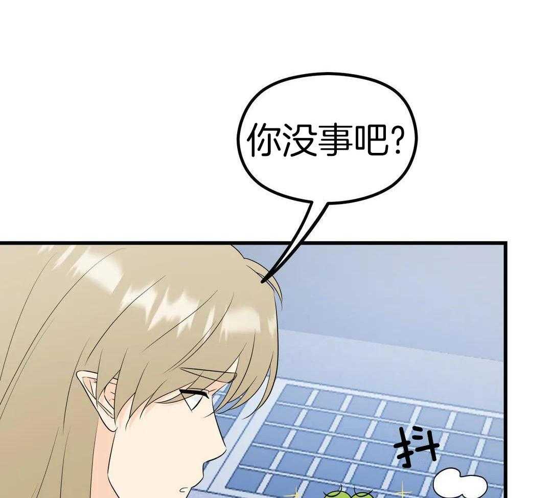 精灵伴侣第5话图