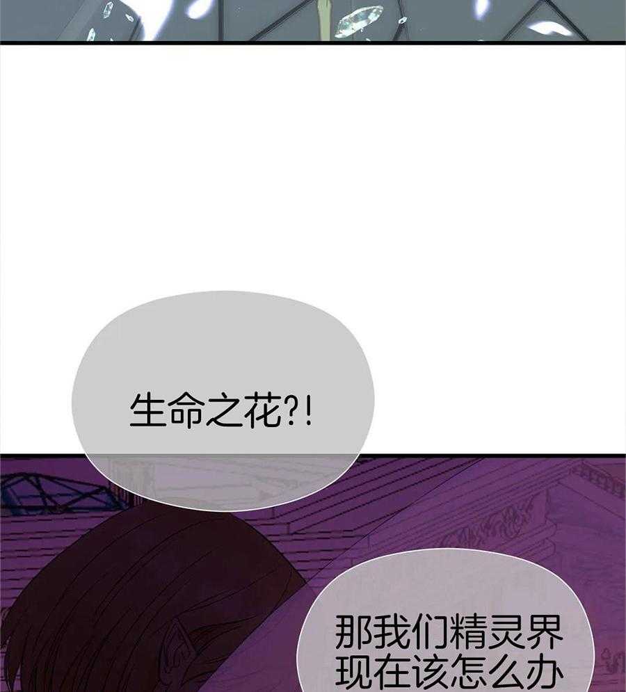 精灵伴侣第6话图