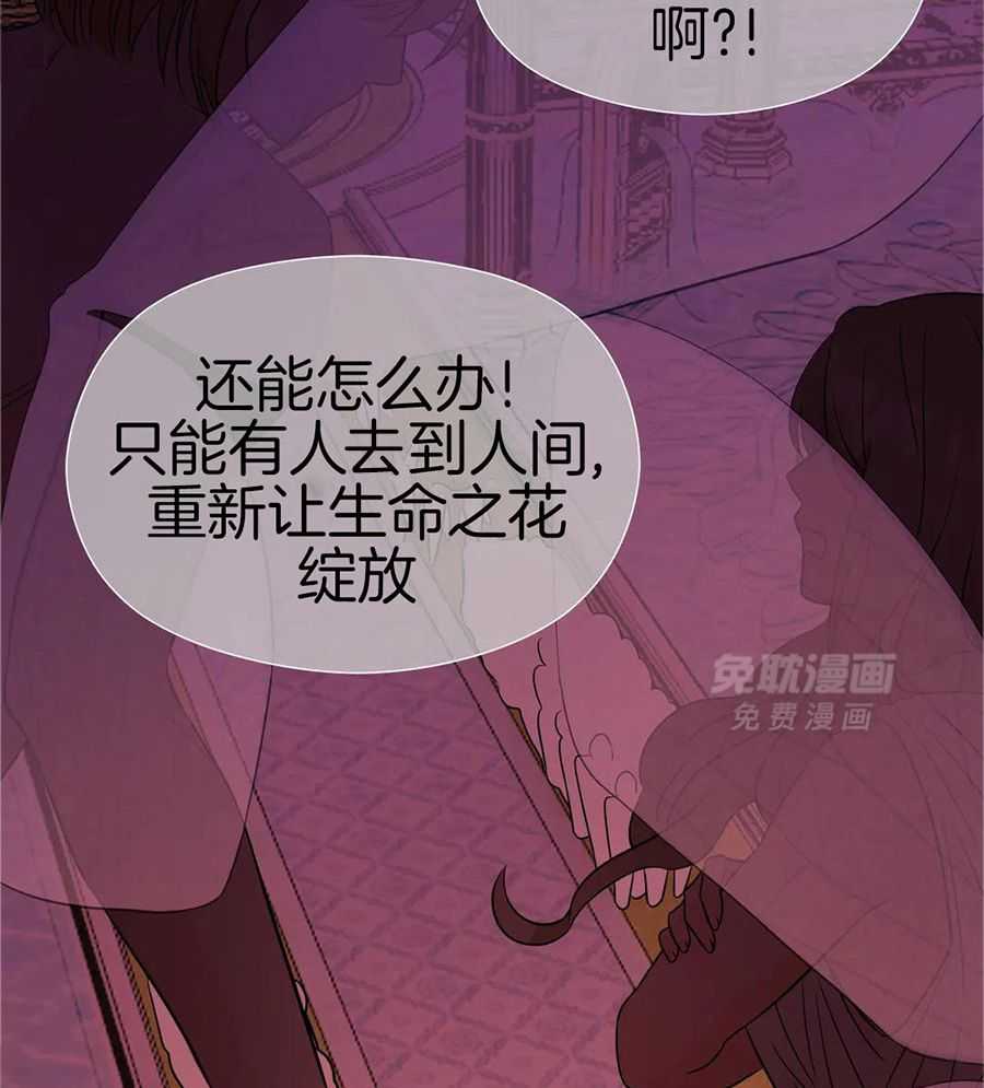 精灵伴侣第6话图