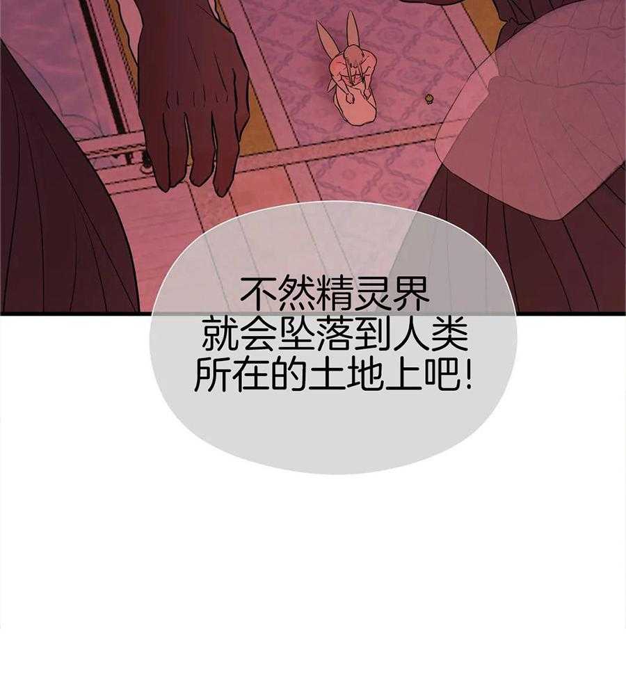 精灵伴侣第6话图