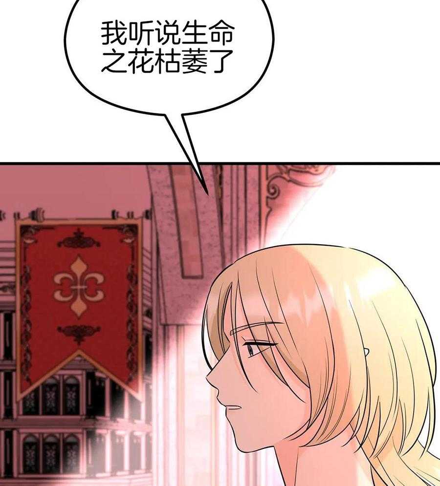 精灵伴侣第6话图