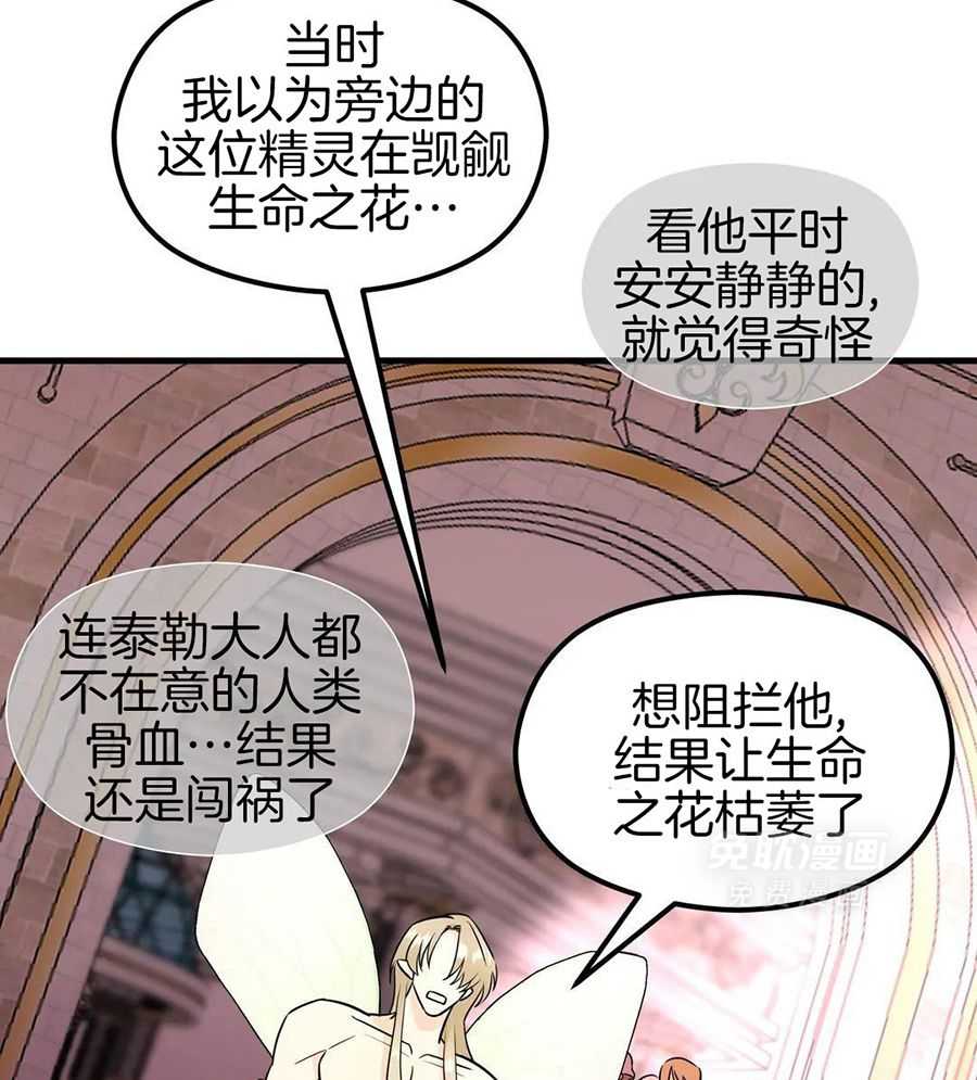 精灵伴侣第6话图