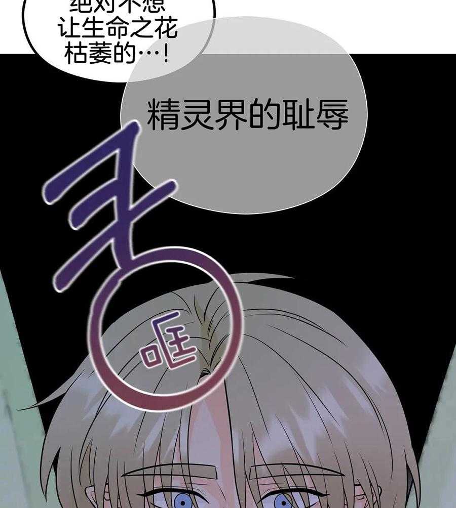 精灵伴侣第6话图