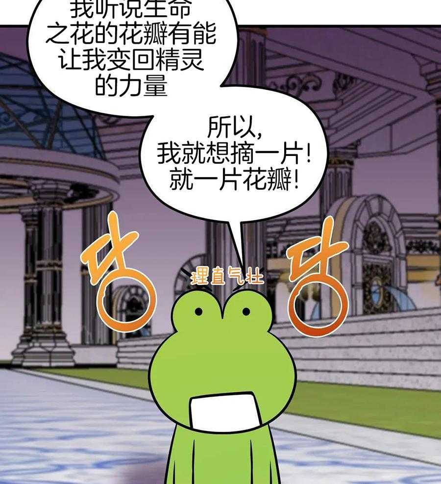 精灵伴侣第6话图