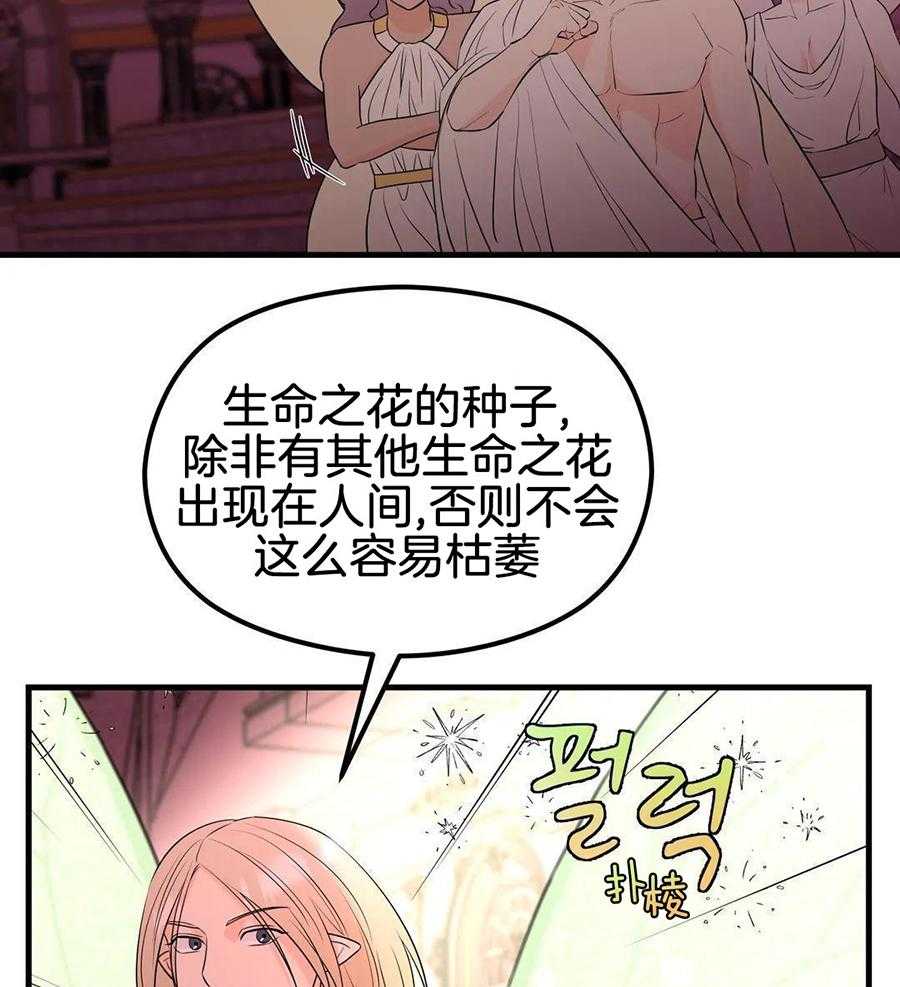 精灵伴侣第6话图