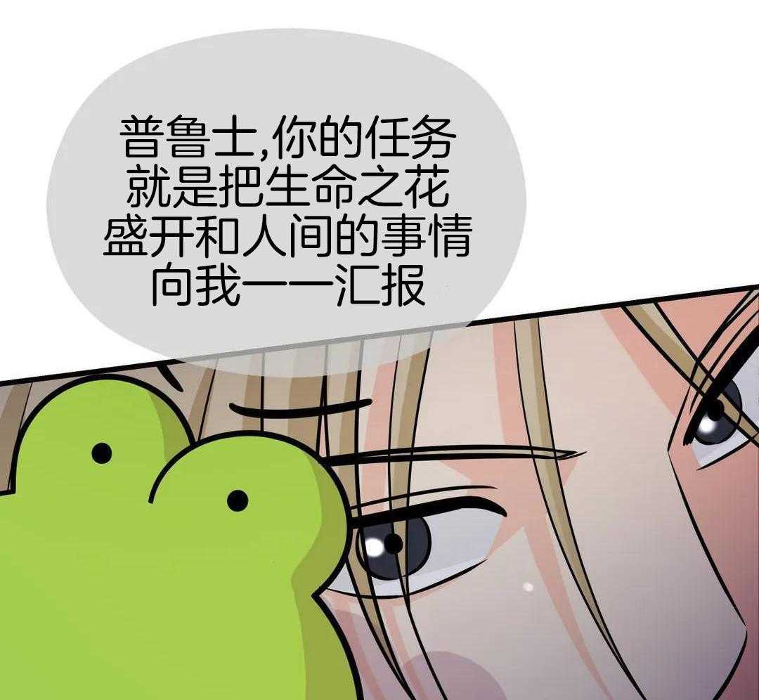 精灵伴侣第7话图