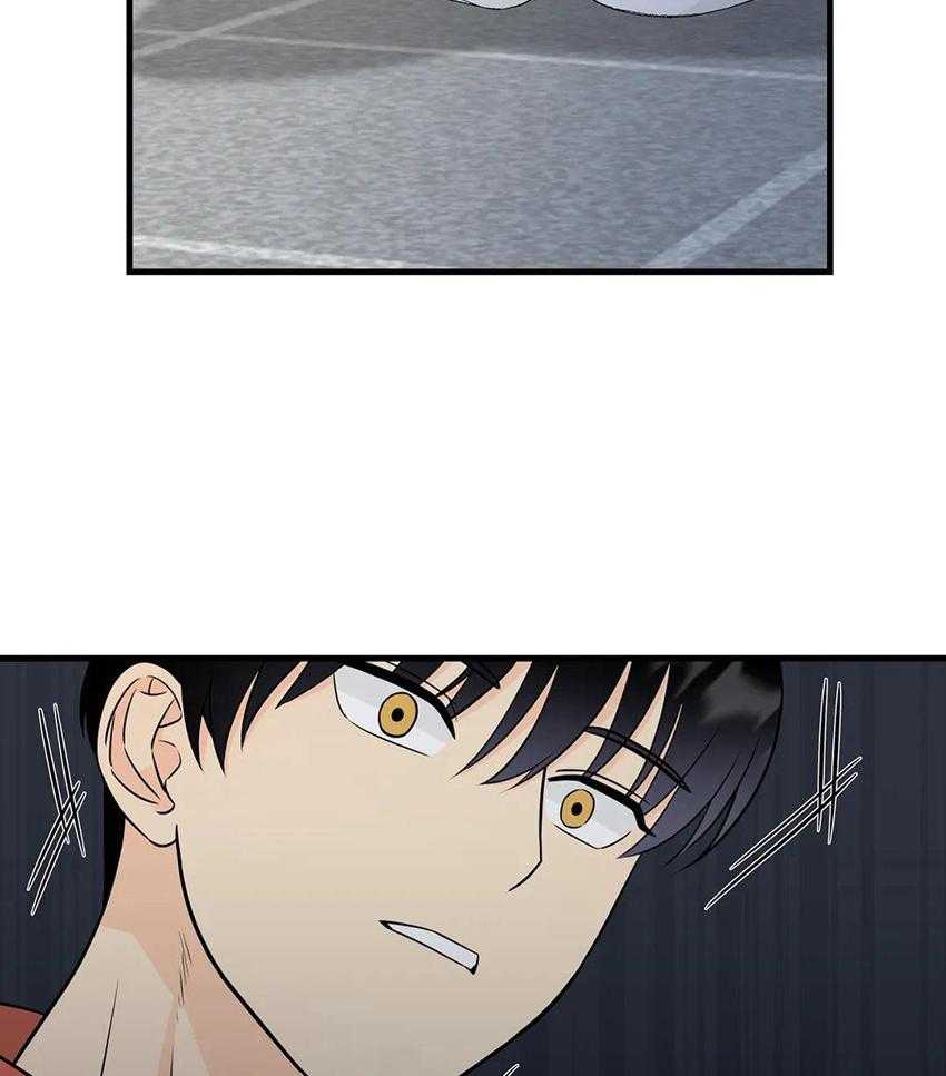 精灵伴侣第8话图