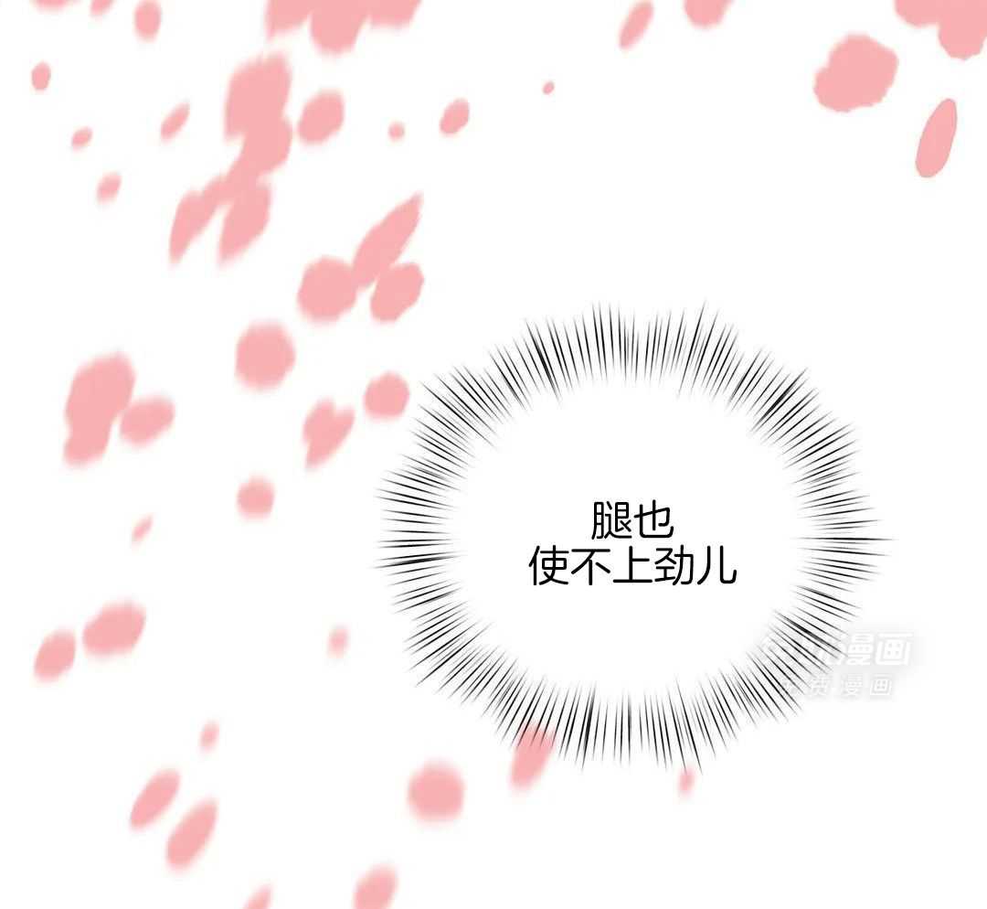 精灵伴侣第9话图