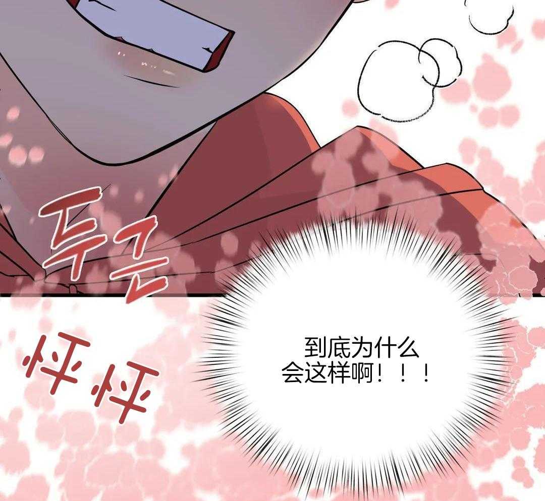 精灵伴侣第9话图