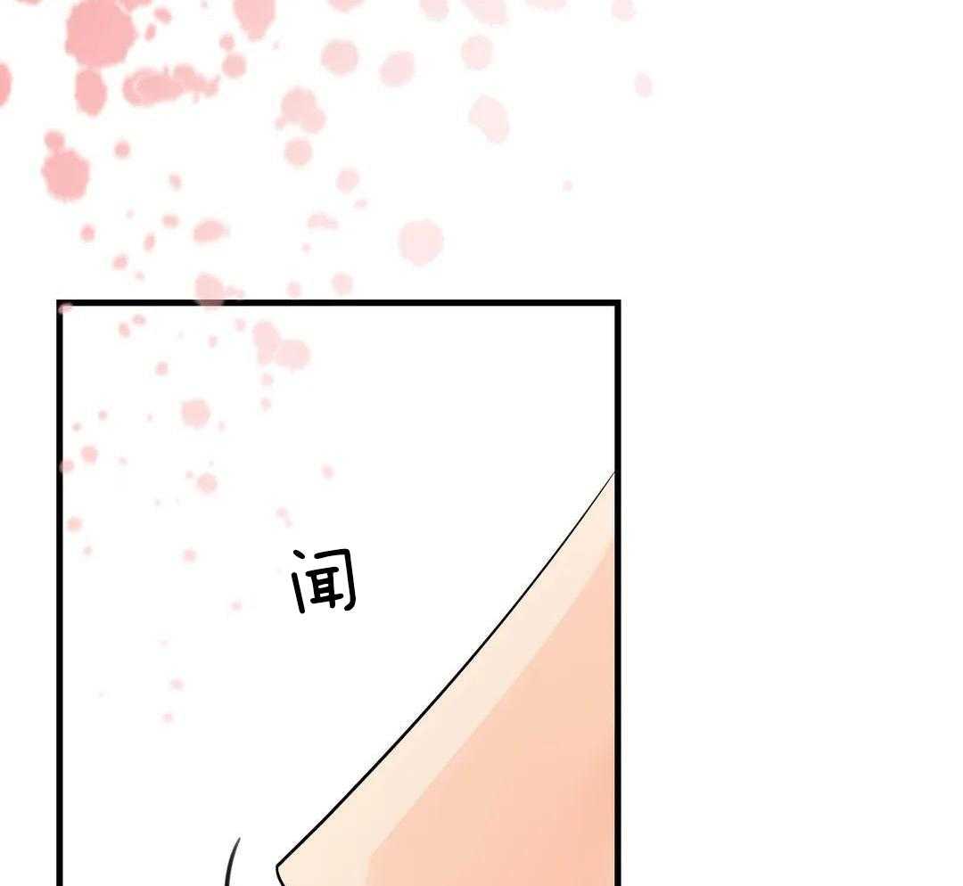 精灵伴侣第9话图